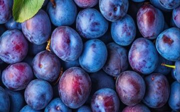 فواید بی نظیر آلو سیاهرنگ برای بدن

