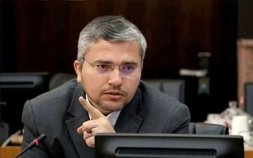 جنجال در روابط دیپلماتیک؛ واکنش تند پاکستان به توییتی از سوی یک نماینده مجلس!