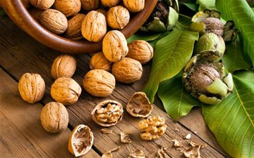 افراد دارای کبد چرب گردو مصرف کنند یا نه؟
