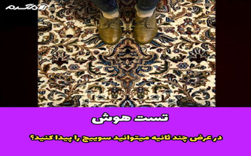 سوییچ در تصویر گم شده، ببینم در چند ثانیه می تونی پیداش کنی!