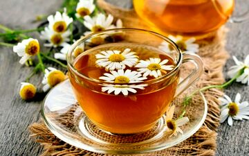 خواص فوق‌العاده بابونه و دمنوش آن/ گیاهی با هزار درمان!