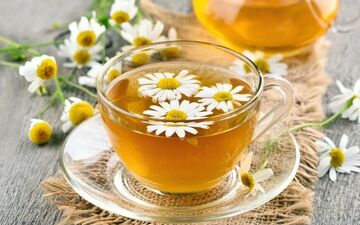 خواص فوق‌العاده بابونه و دمنوش آن/ گیاهی با هزار درمان!