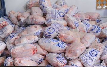 آغاز توزیع روزانه 20 تن مرغ منجمد در کرمانشاه با قیمت 255 هزار تومان 