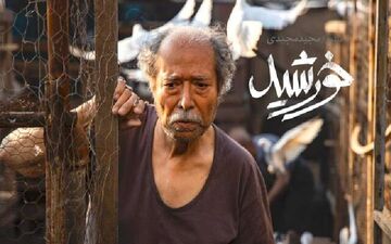 ایران «خورشید» را برای اسکار انتخاب کرد