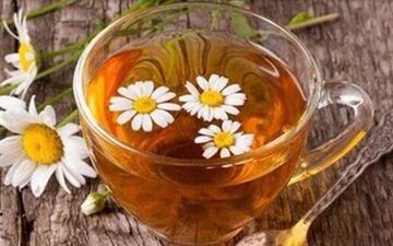 با بهترین دمنوش‌ها برای تکرر ادرار بیشتر آشنا شوید
