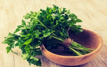 با این گیاهان دارویی دم دستی و پر خاصیت آشنا شوید