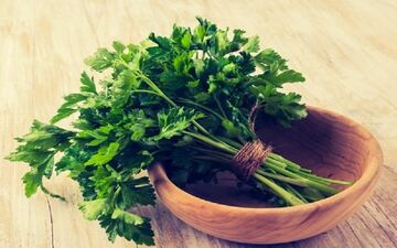 با این گیاهان دارویی دم دستی و پر خاصیت آشنا شوید