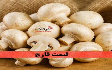 قیمت قارچ در تهران؛ از دکمه‌ای تا شاه‌صدفی