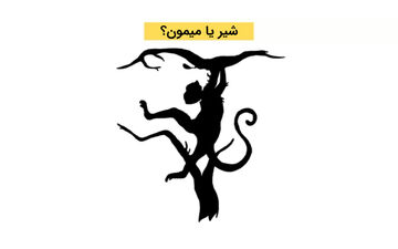 تست شخصیت؛ اولین چیزی که در تصویر ببینید نشان می‌دهد حوصله دارید یا خیر؟
