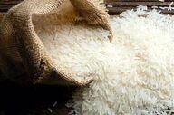روش‌های طلایی برای سالم ماندن برنج؛ چطور تا یک سال برنج را تازه نگه داریم؟