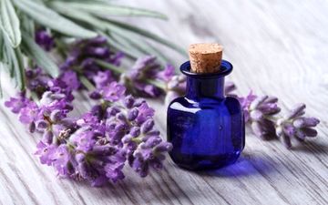 فواید بی نظیر روغن اسطوخودوس را بشناسید