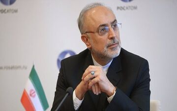 صالحی از کاندیداتوری انتخابات ریاست‌جمهوری انصراف داد