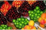 آیا میوه را با معده خالی باید بخوریم؟