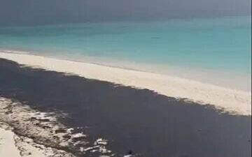 سیاهی بر چهره نگین خلیج فارس؛ آلودگی گسترده نفتی در سواحل لاوان