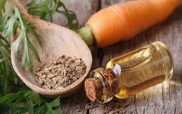 ۴ فایده شگفت‌انگیز روغن هویج برای مو