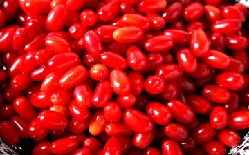 کسانی که بیماری قلبی و سنگ کلیه دارند زغال اخته بخورند