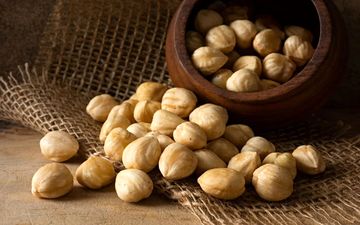 فندق و کبد چرب | درمان طبیعی و تقویت سلامت بدن
