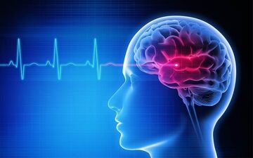 برای پیر نشدن مغز و دوری از آلزایمر چه کنیم؟