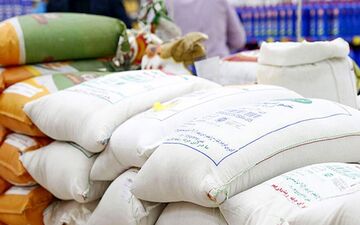 قیمت برنج امروز | نرخ جدید برنج ایرانی و هندی در بازار 1 شهریور 1404