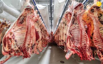 قیمت گوشت قرمز امروز | نرخ گوسفندی و گوساله ۱۲ شهریور