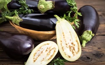 تشخیص بادمجان تلخ از شیرین