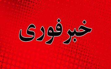 فردی مسلح در کاخ ملکه انگلیس بازداشت شد
