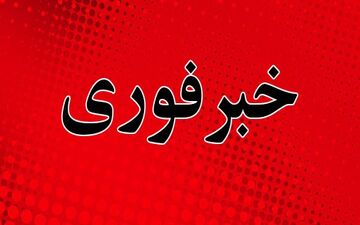 فردی مسلح در کاخ ملکه انگلیس بازداشت شد