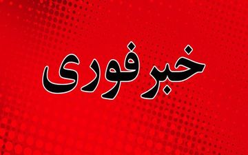 فردی مسلح در کاخ ملکه انگلیس بازداشت شد