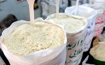 
کشف هزار و ۲۰۰ تن برنج احتکار شده در هرمزگان
