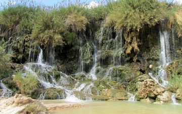 ابشار فدامی