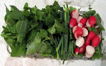 بهترین روش‌های نگهداری سبزی خوردن شسته شده در یخچال