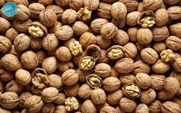 گردوی خوب را چگونه تشخیص دهیم؟


