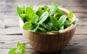 مصرف نعنا برای این افراد ممنوع!/ دلایل را بدانید