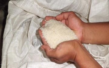 5 تن برنج قاچاق در کنگاور کشف شد  