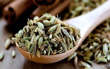 با خواص بی نظیر رازیانه آشنا شوید