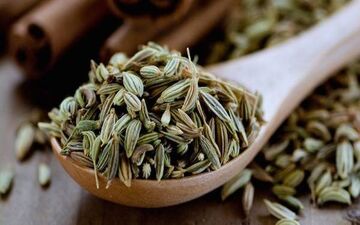 با خواص بی نظیر رازیانه آشنا شوید