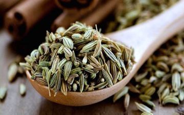 با خواص بی نظیر رازیانه آشنا شوید