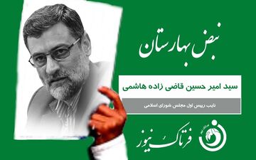 کارت سبز «نبض بهارستان» به سید امیرحسین قاضی زاده هاشمی
