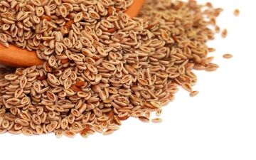 یبوست داری و اذیت هستیی؟ بیا تا یک گیاه بهت معرفی کنم که معجزه میکنه!