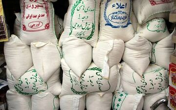 سقوط چشمگیر قیمت برنج ایرانی؛ برنج هاشمی امروز کیلویی چند؟