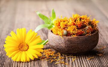 این گیاهان دارویی برای خونریزی شدید قاعدگی مفیدند