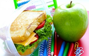 راهکارهای ایجاد محیط غذایی سالم در مدرسه