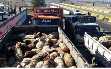  کشف محموله میلیاردی عجیب در بیجار/جریان چه بود؟