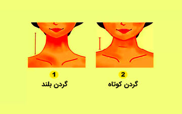 رابطه طول گردن و ویژگی های شخصیتی شما! | طول گردن چه ویژگی هایی را آشکار میکند ؟