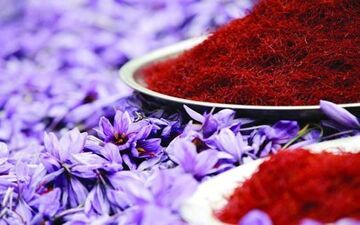 برای سلامت مغزتان از این غذاها غافل نشوید
