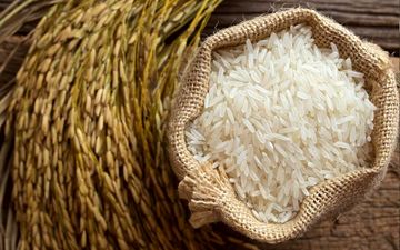 هیچ نوع برنج تراریخته ای در کشور تولید نمی شود