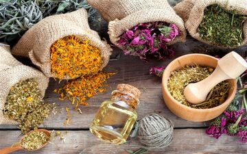 داروهای گیاهی برای رفع سر درد/ انواع آن را بشناسید 
