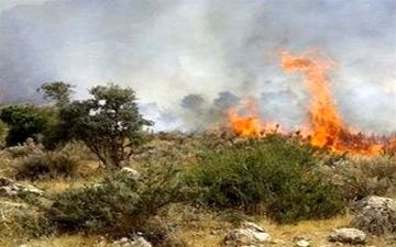 مصدومیت ۵ نفر در آتش‌سوزی وسیع آبیدر سنندج