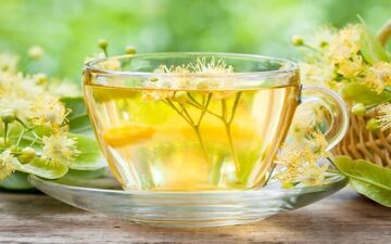 آشنایی با فواید شگفت انگیز چای زیرفون برای سلامت