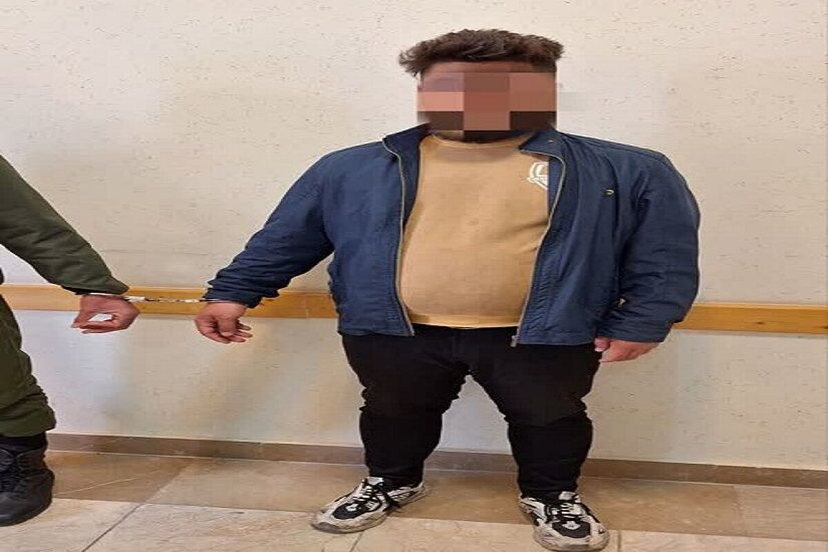 دستگیری سریع عاملان قمه‌کشی پارک زنجان؛ اراذل سابقه‌دار در چنگال قانون